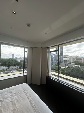 Suite Superior, 1 letto king, bagno privato, vista città | Vista dalla camera