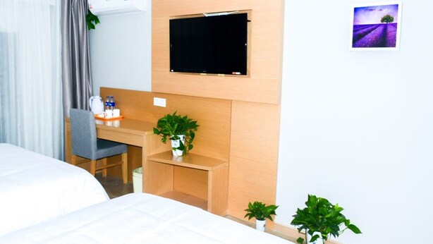 A hotel room with a bed, a desk with a chair, a television mounted on the wall, and a small potted plant on the desk.