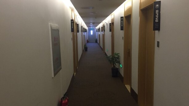 A hotel hallway with doors, a fire extinguisher, and a potted plant.
