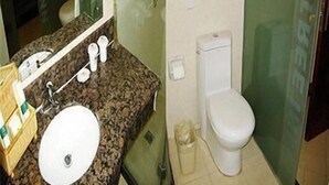 Ein Badezimmer mit einer Granit-Arbeitsplatte, einem weißen Waschbecken, einem Spiegel, einer Toilette und einem Mülleimer.