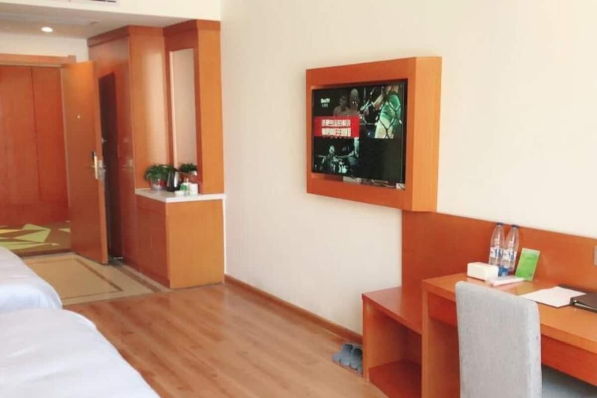 Quarto de hotel com piso de madeira, uma cama, uma escrivaninha com cadeira, televisão fixada na parede e uma pequena prateleira com uma planta.
