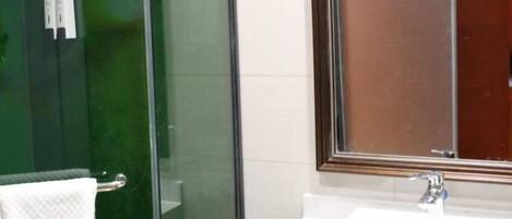 A bathroom with a glass shower enclosure, a white sink, and a mirror.