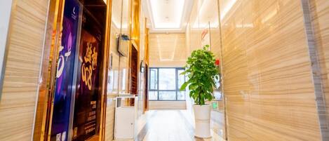 A hotel corridor with a modern design, a reception desk, and a potted plant.