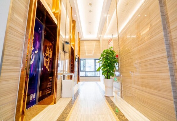 A hotel corridor with a modern design, a reception desk, and a potted plant.