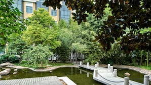 Ein friedlicher Garten mit Teich, Holzdeck und üppigem Grün.