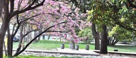 A park with trees, a pathway, and a grassy area.