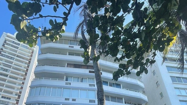 A multi-story building with balconies, large windows, and a palm tree in the foreground. - U-go Faro Tequendema (Cartagena)