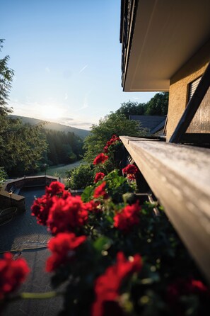 Comfort Double Room, Balcony | Property grounds - Wald Hotel Heppe (Dammbach)