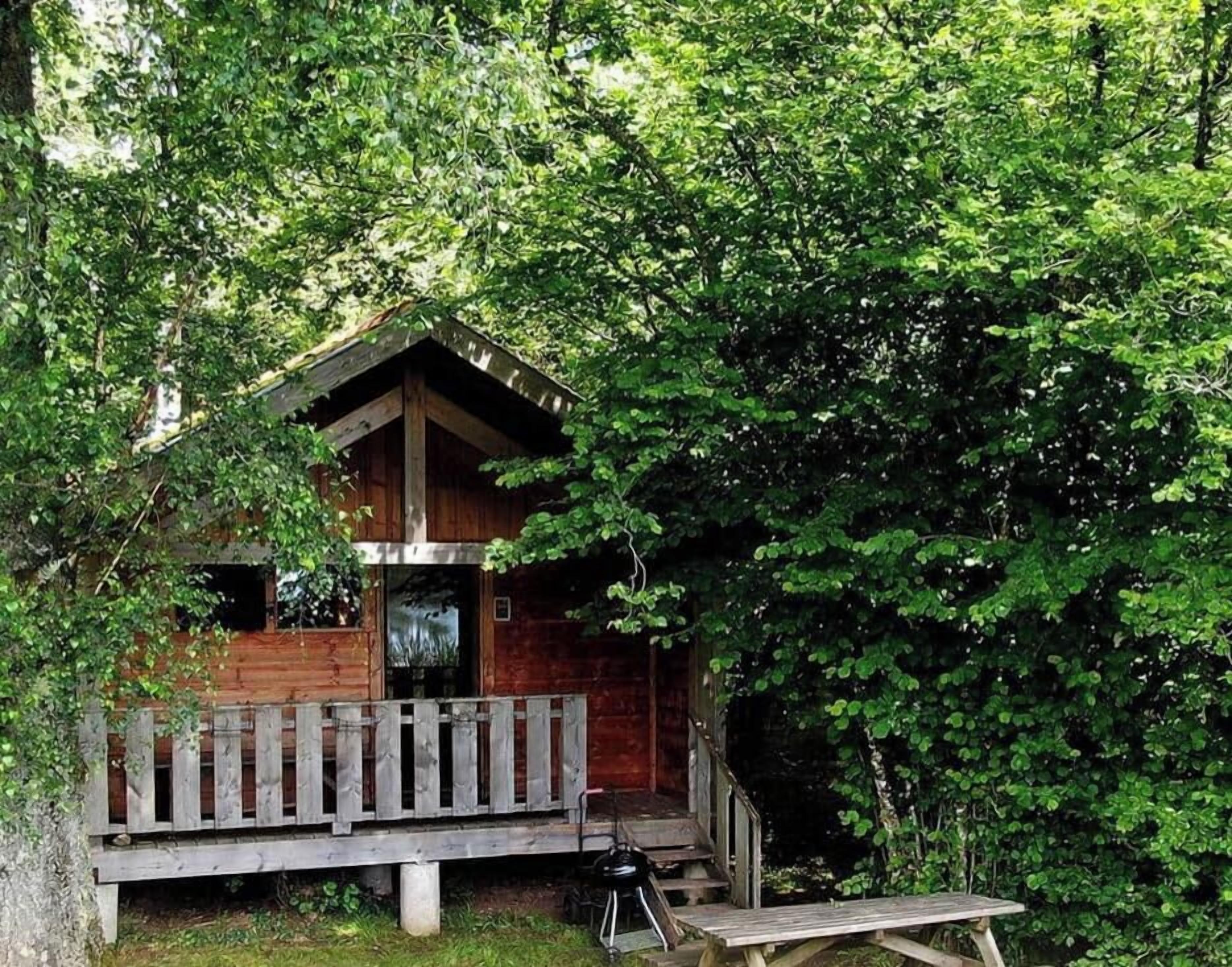 Eine Holzhütte mit Veranda, umgeben von dichtem Grün.