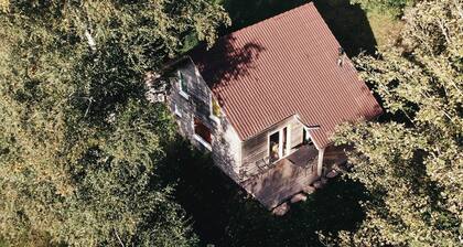 Bouleau - Wooden chalet in a green setting