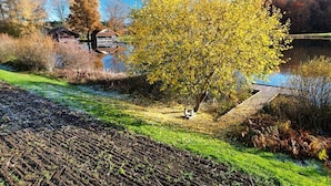 A rural landscape with a pond, a wooden bridge, and a tree with yellow leaves. - Le Fayard - Chalet with terrace (Mélisey)