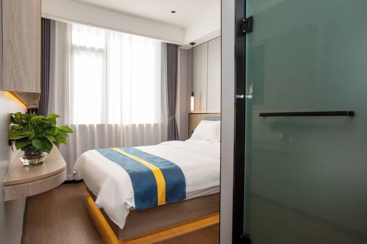 A hotel room with a bed, a bedside table with a plant, a window with curtains, and a glass door.