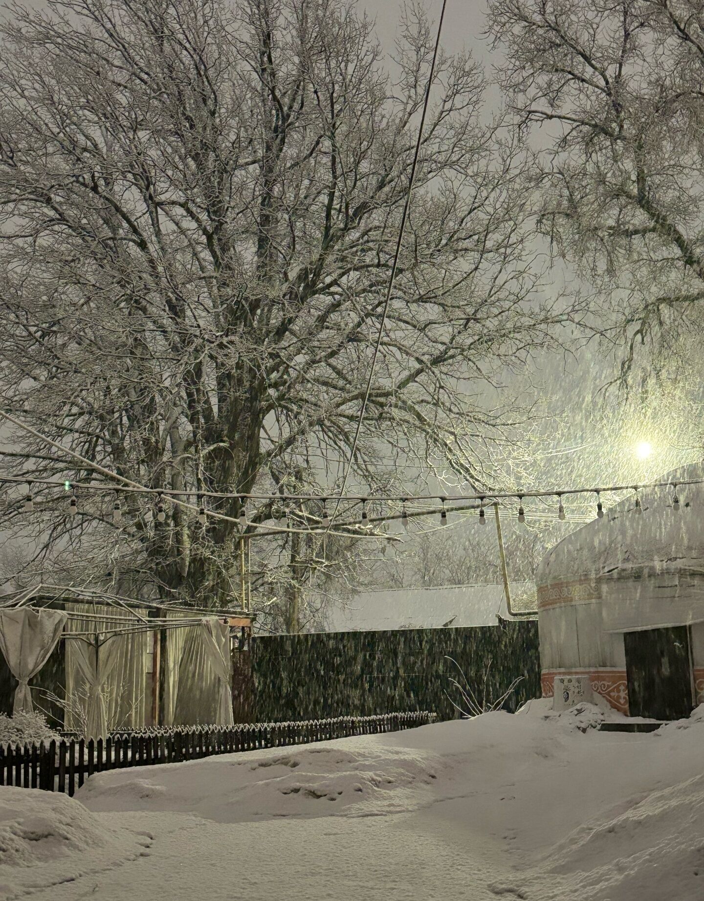 Un paisaje nevado con árboles desnudos, una cerca y un edificio con tejado cubierto de nieve.