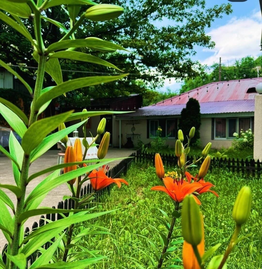 Un jardin où les fleurs sont en pleine floraison et un bâtiment surmonté d’un toit rouge.