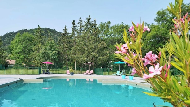 Une piscine entourée de verdure et d’arbres, avec des chaises longues et des parasols.