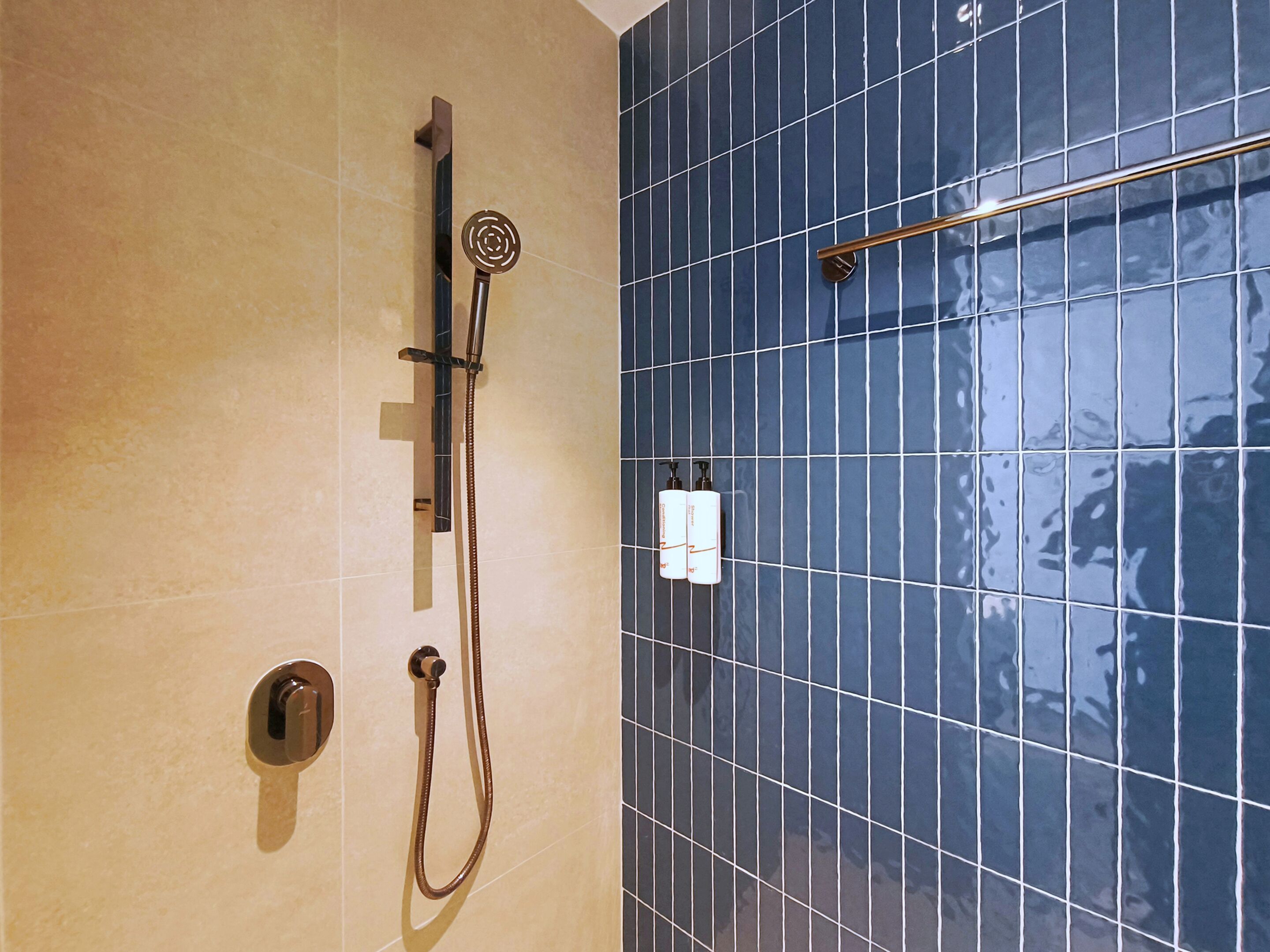 Eine Dusche mit Duschbrause, Handbrause und Armatur an der Wand.