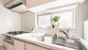 Una cucina moderna con piano cottura a gas, lavello in acciaio inossidabile e una finestra con una pianta.