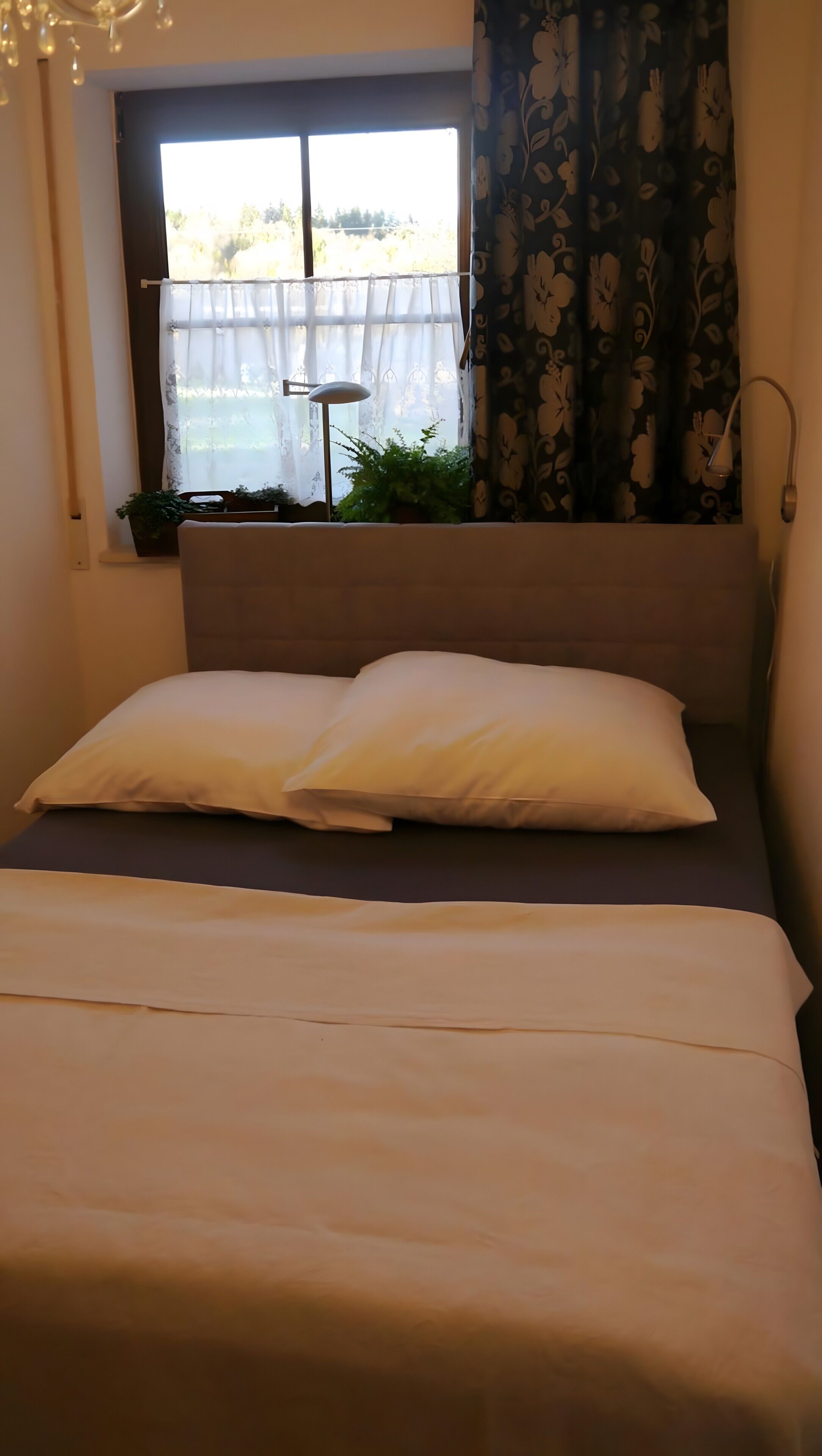 En säng med vita sängkläder, ett fönster med tunna gardiner, en krukväxt och en lampa.