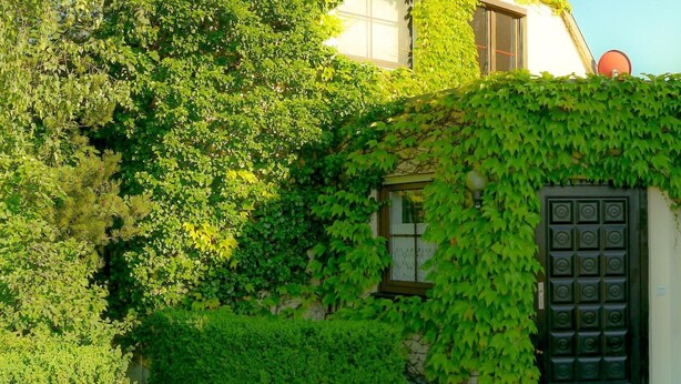 Un bâtiment partiellement recouvert de lierre, une petite fenêtre et une porte ornée d’un motif géométrique.