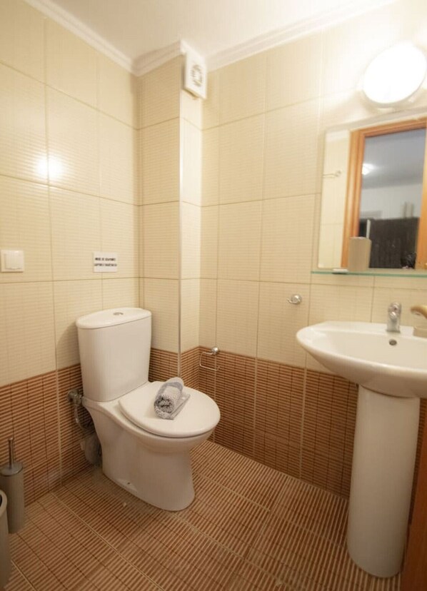 A bathroom with a toilet, sink, and mirror.