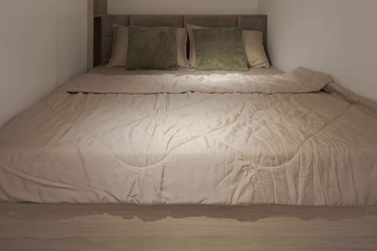 高級開放式客房, 陽台, 城市景觀