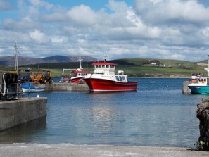 Ein Hafen mit Booten, einem Traktor und einer grünen Landschaft im Hintergrund.