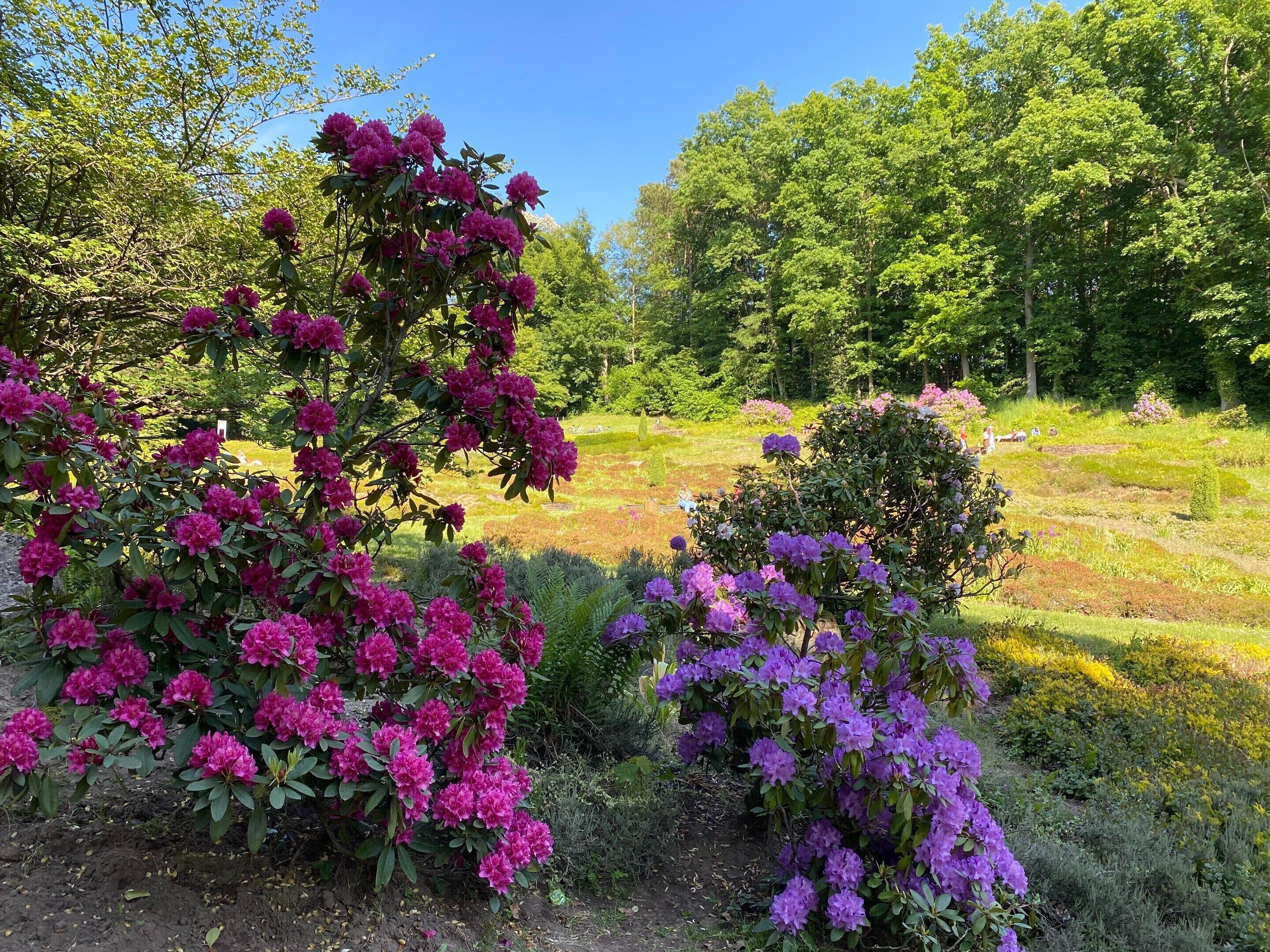 Vista desde la propiedad