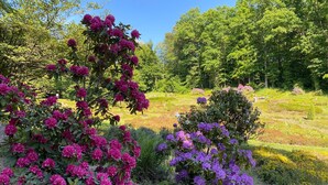 A garden with flowering shrubs and trees. - Sunday Saarbruecken Sued Deluxe Double Room (Saarbrücken)