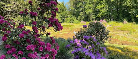 Appartement | Uitzicht vanuit accommodatie