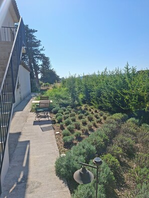 Room - Mas le Jas (Cavaillon)