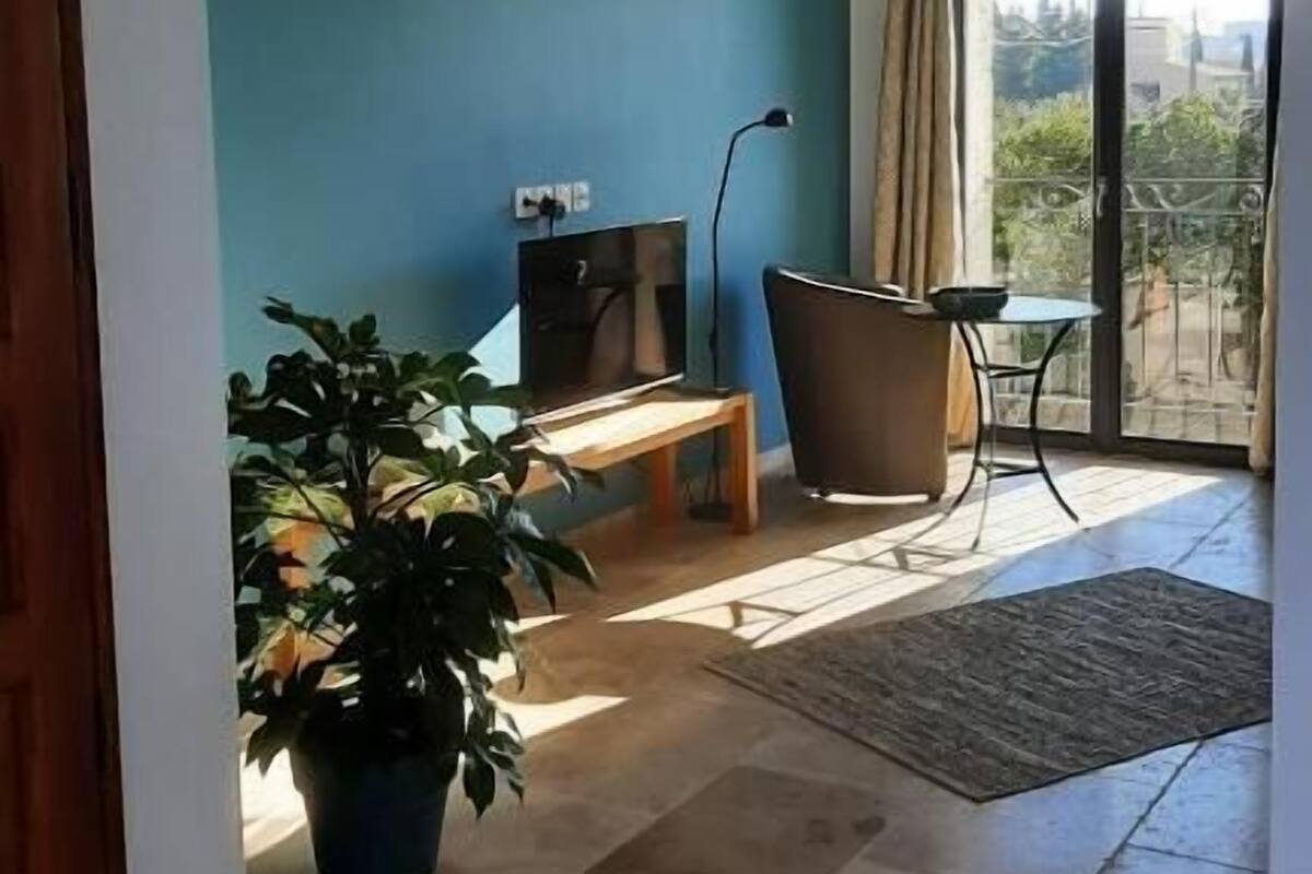 A room with a teal wall, a TV, a chair, a table, a potted plant, and a view through a glass door.
