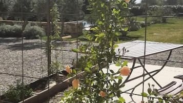 Deluxe-Studio, Terrasse, Blick auf den Innenhof | Terrasse/Patio