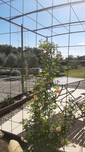 Deluxe Studio, Patio, Courtyard View | Terrace/patio - Mas le Jas (Cavaillon)