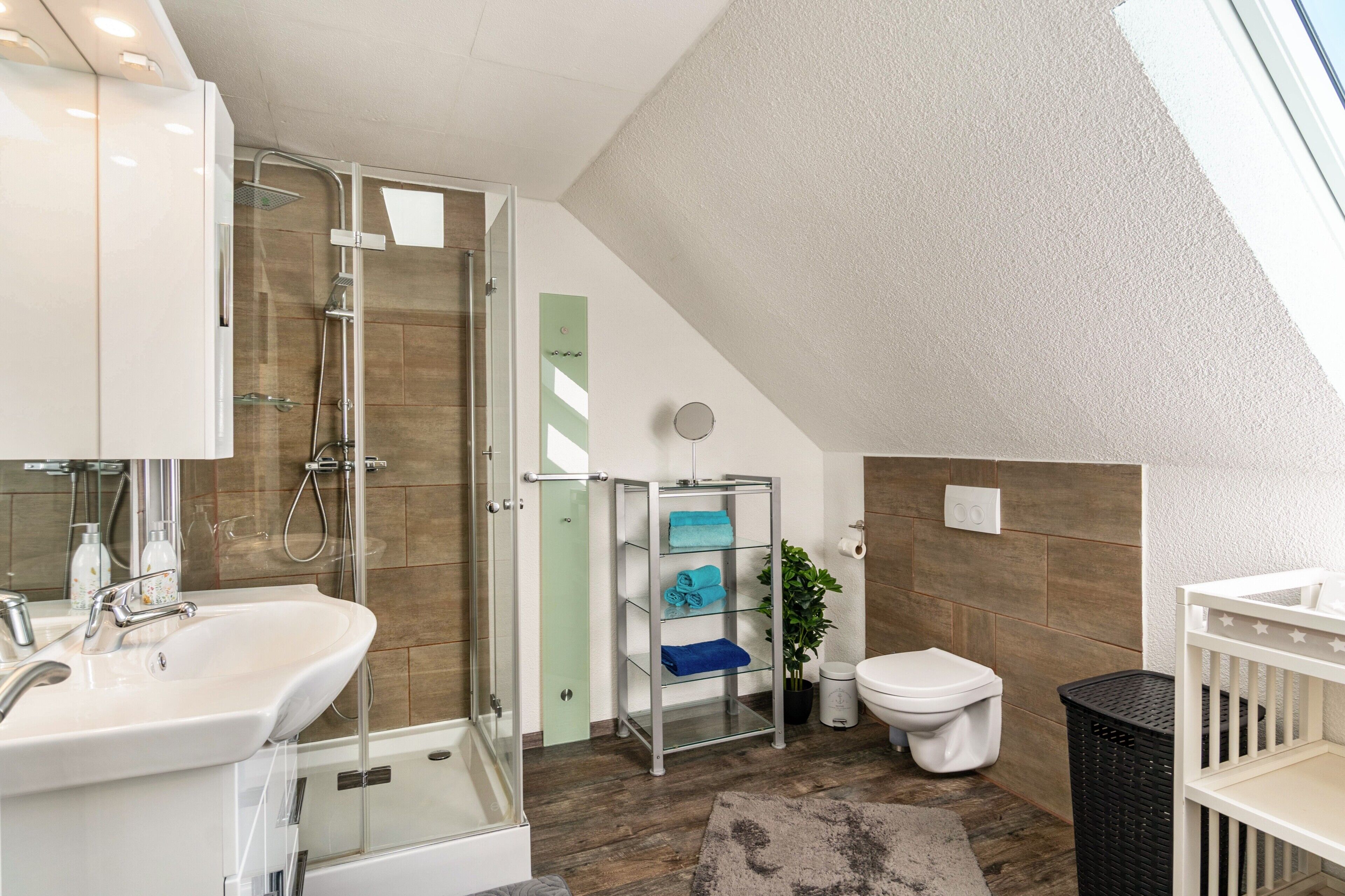 Shower, hair dryer, towels