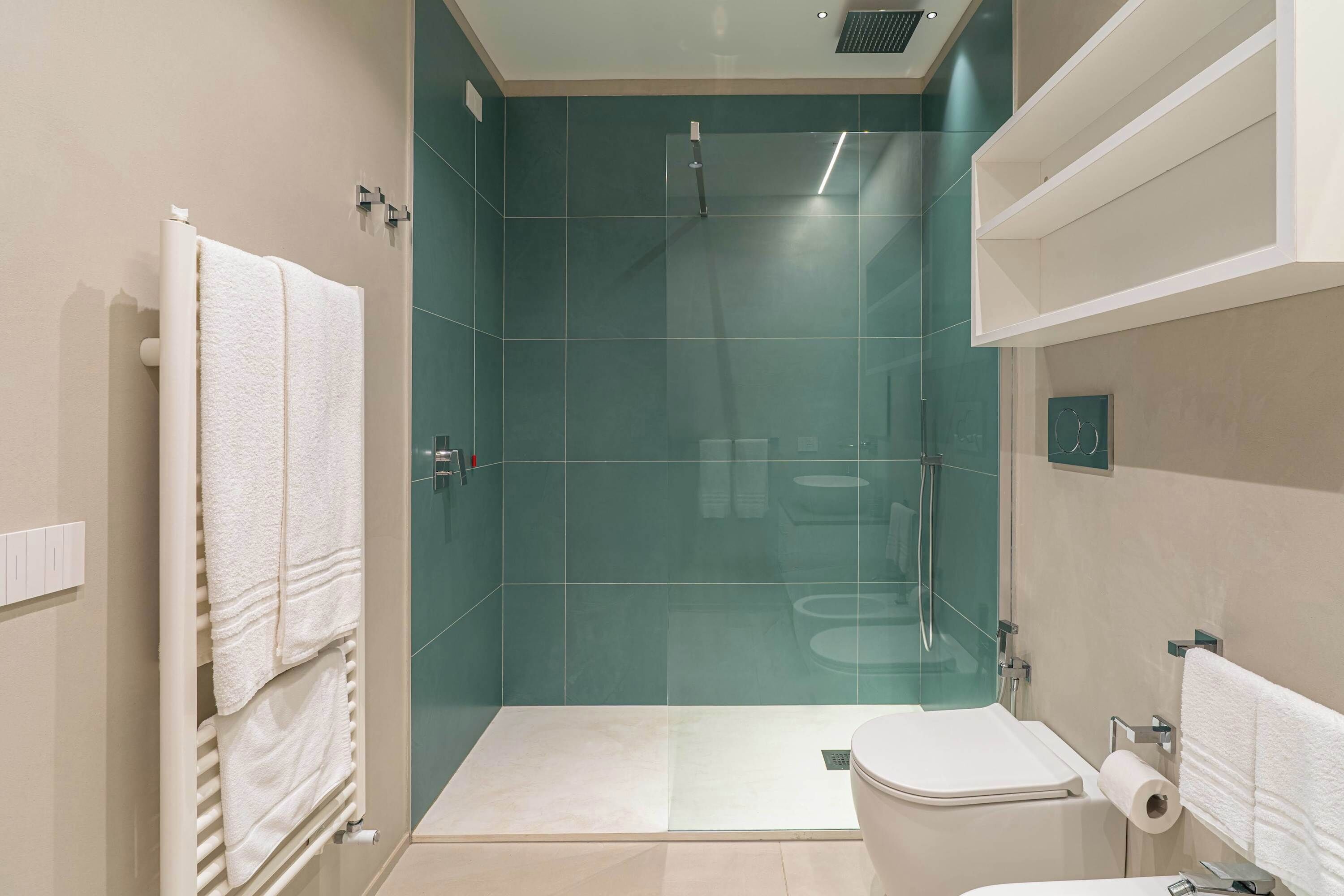 Shower, hair dryer