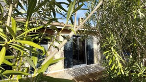 Una casa con un sendero de piedra que conduce a una puerta de cristal, rodeada de abundante vegetación.