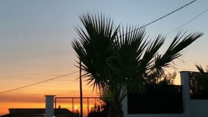Palmu auringonlaskun taustalla, maisemoidulla alueella.