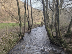 A narrow stream flowing through a forested area with trees on either side.