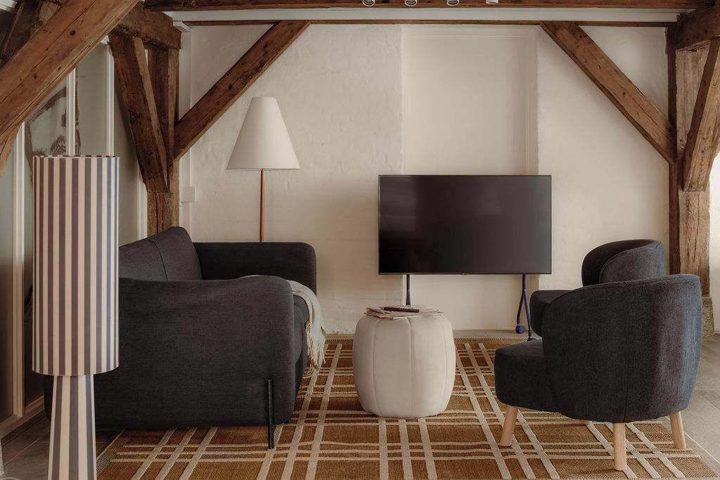 Fernseher, Arbeitsbereiche