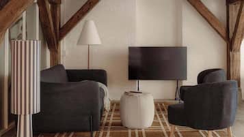 Fernseher, Arbeitsbereiche