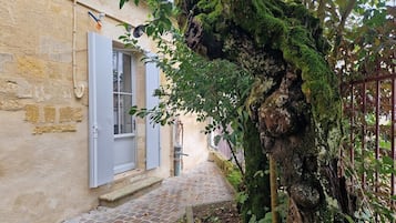 Detalle exterior