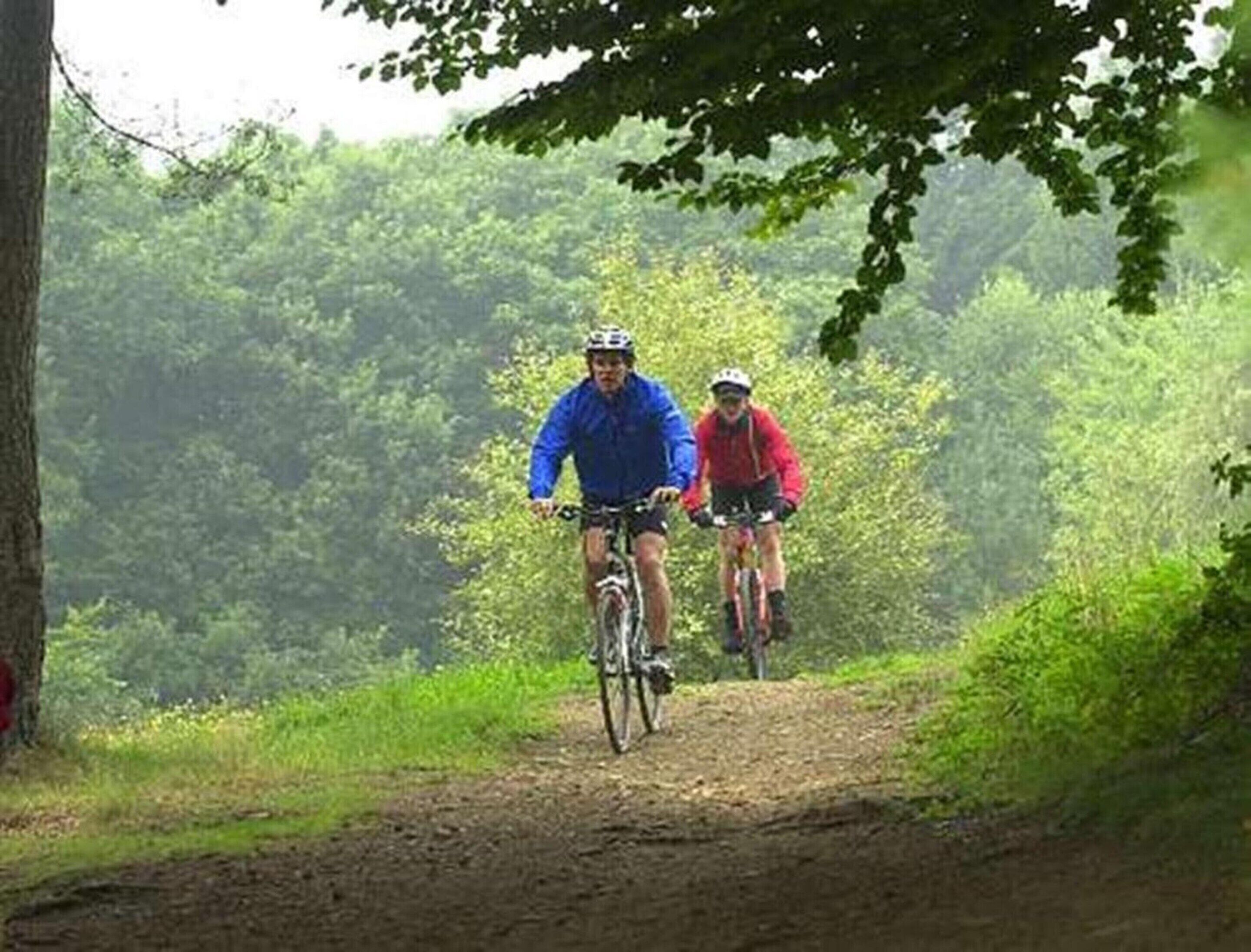 Deux cyclistes sur un chemin de terre, entourés de verdure.