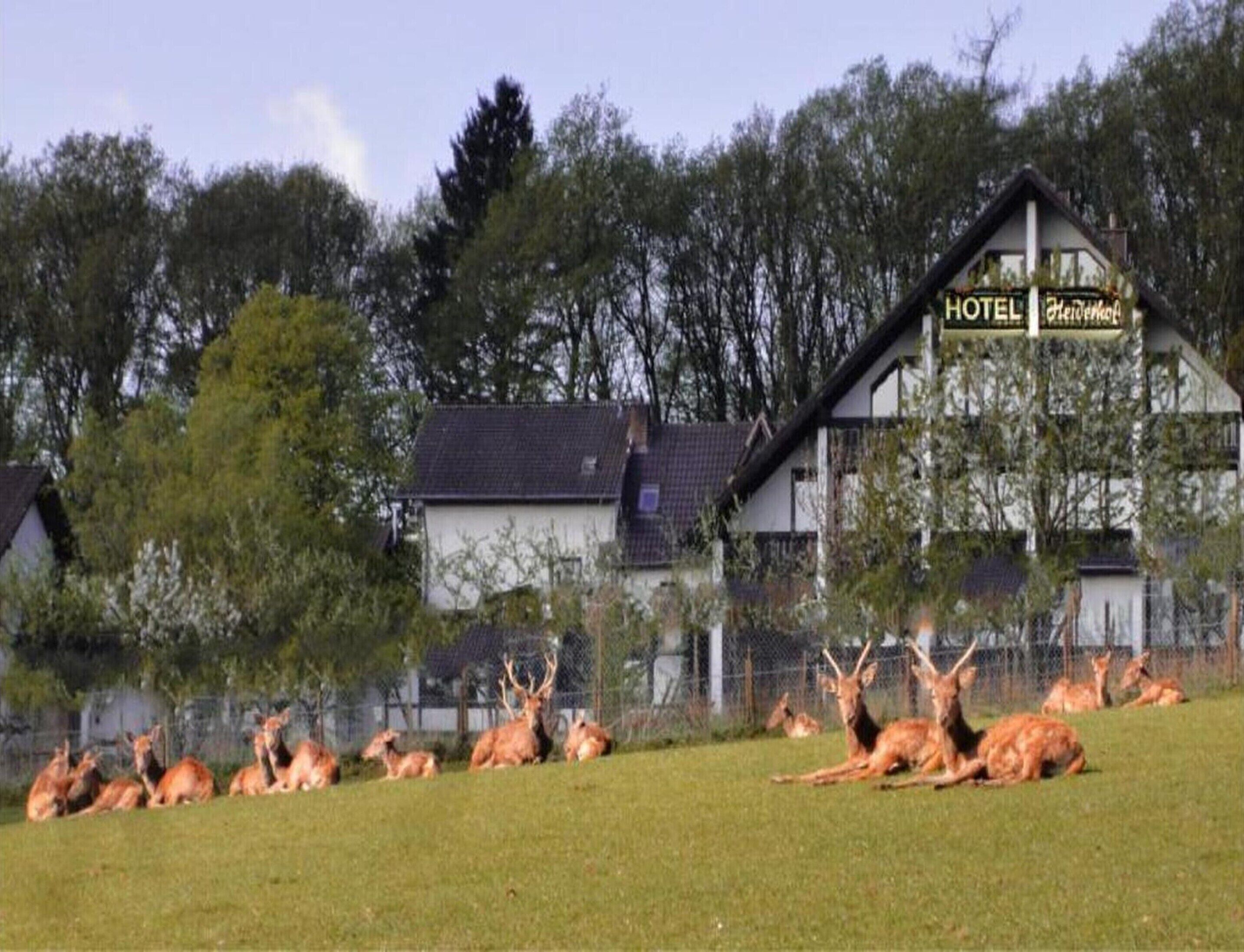 A hotel with a sign that reads 'HOTEL Heverlee.'