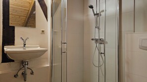 Shower, towels, toilet paper