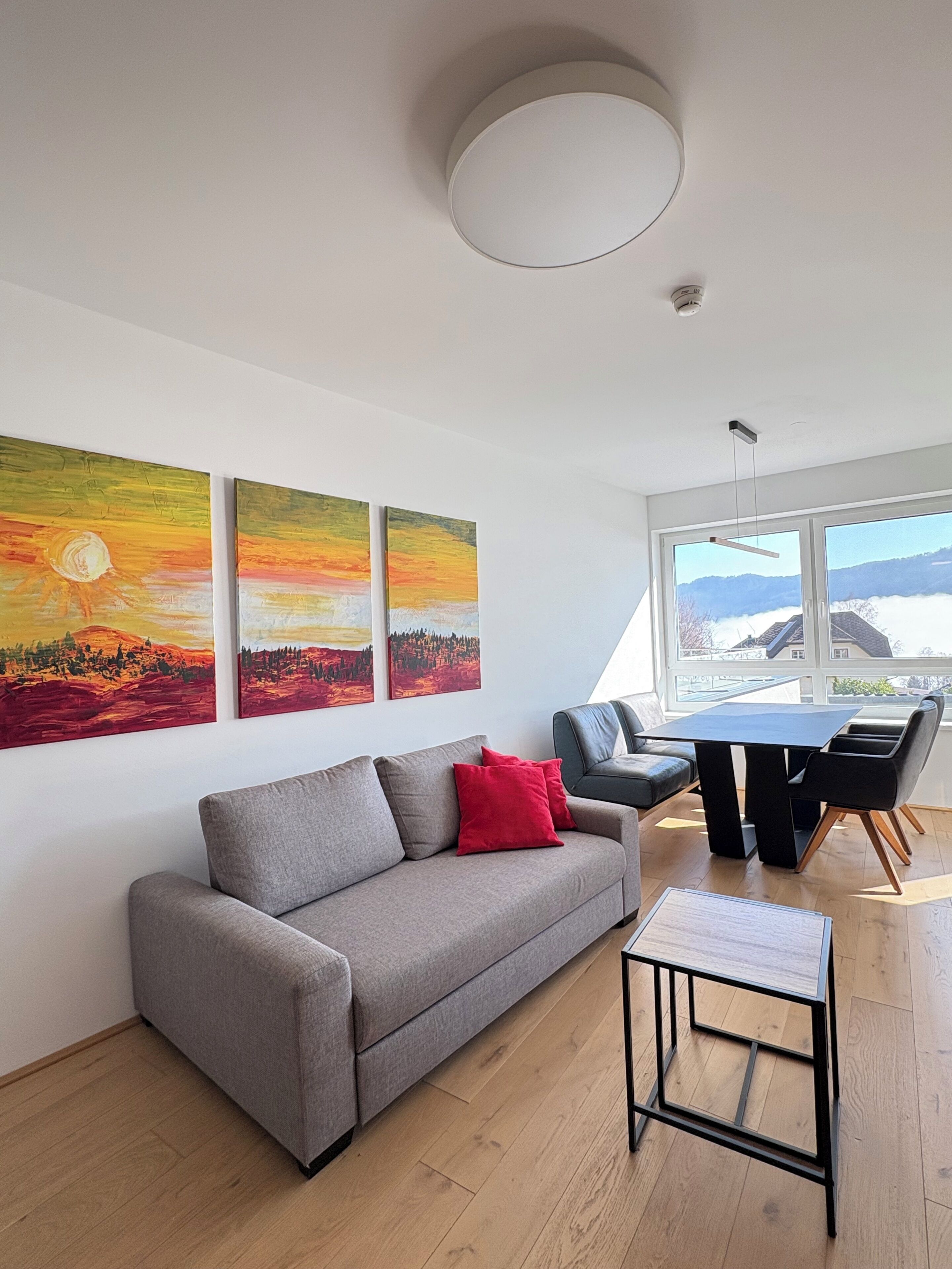 Appartement Affaires, vue lac | Coin séjour