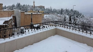 Ein verschneites Dach mit Metallgeländer, einer Treppe und Blick auf schneebedeckte Bäume und Gebäude im Hintergrund.