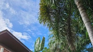 A building with a red roof, a balcony, and a garden with various plants and a pathway. - Fishermans Village Samui Yoga Retreat (Koh Samui)
