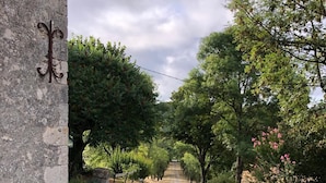 Ein Weg führt durch einen Garten mit Bäumen und Sträuchern, an der linken Seite eine Steinmauer und ein klarer Himmel darüber.