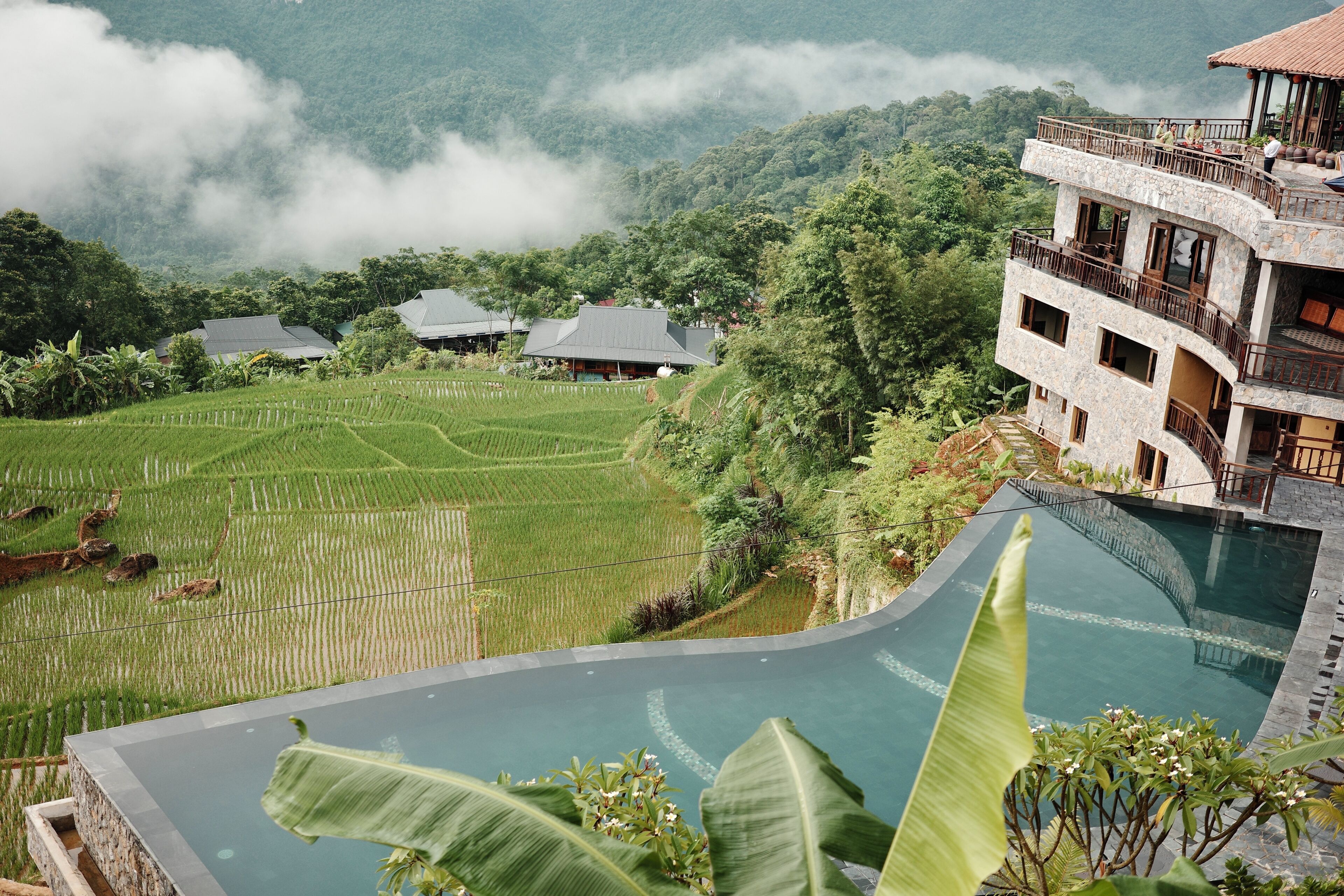 Un resort con piscina, terrazas de arrozales y montañas al fondo.