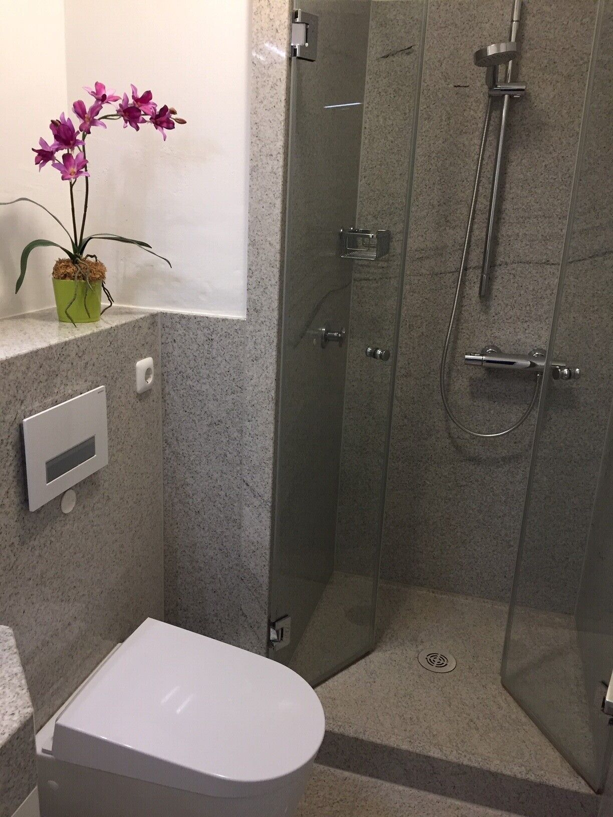 Une salle de bain équipée de toilettes, d’une douche et d’une orchidée en pot.